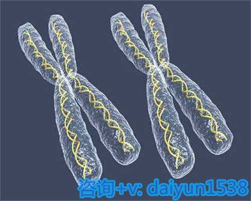 上海三代试管婴儿资讯|治早泄大概需要多少钱