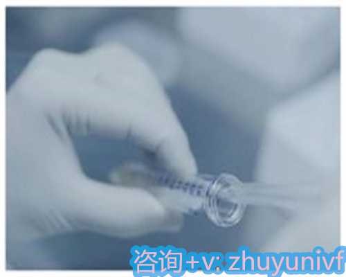 上海供精生宝宝，虎年2026年刘姓男孩大气有涵养的名字-好听稀少的男孩名字快