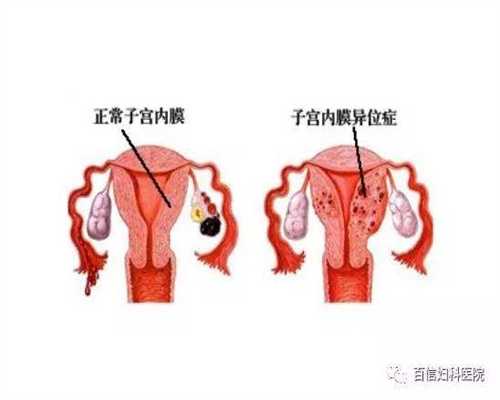 上海三代试管婴儿流程图|上海试管医院大全