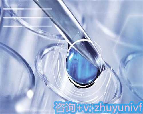 上海三代试管婴儿费用与成功率解析：代生、借卵生男孩的考量